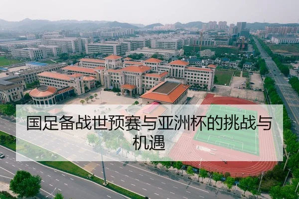 国足备战世预赛与亚洲杯的挑战与机遇